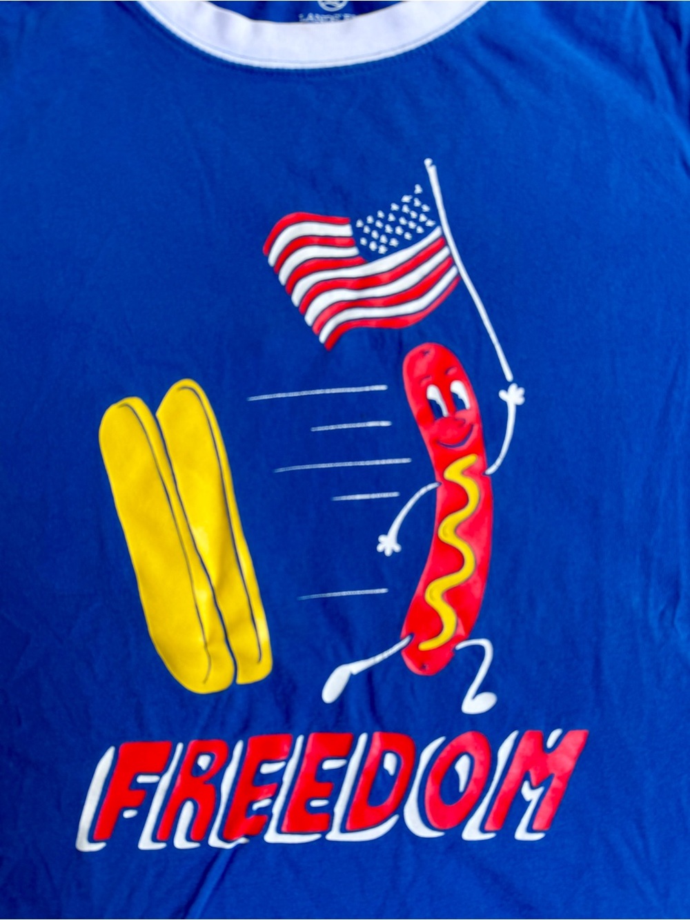 Lands' End Kids size M 10-12 Blue Graphic hotdog Freedom Tee with American Flag - Picture 2 of 3